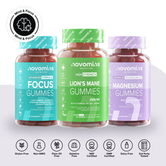 Gehirn & Fokus Bundle