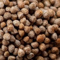 Acidi grassi Omega 3